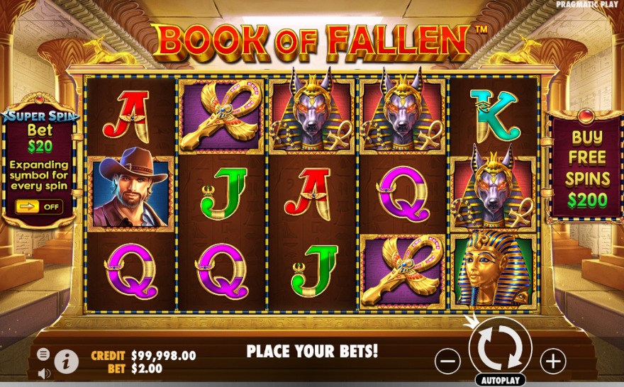 Main play screen for book of the fallen at Wild 24 Casino